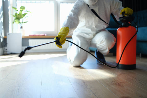 Trusted Sewage Cleanup service in Trenton, IL - Four Month Blood Cleanse